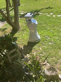 The Robot in Nueva Mater Dei Nursing Home