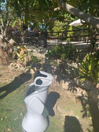 The Robot in Nueva Mater Dei Nursing Home